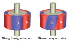 ../_images/skewed-magnetization.jpg